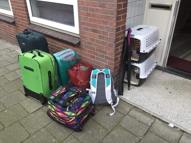 Photo of several suitcases and two cat carriers
