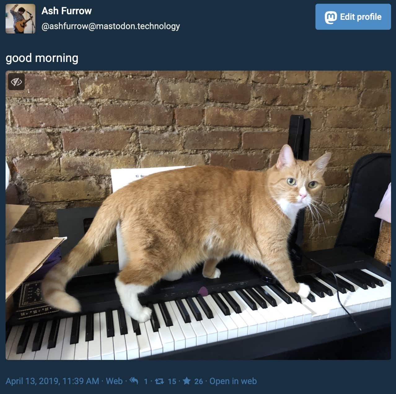 Screenshot of a post I made on Mastodon that says good morning and includes a photo of my cat on a piano