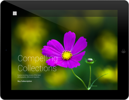 Marketing image of a photo magazine with the title 'Compelling Collections'.