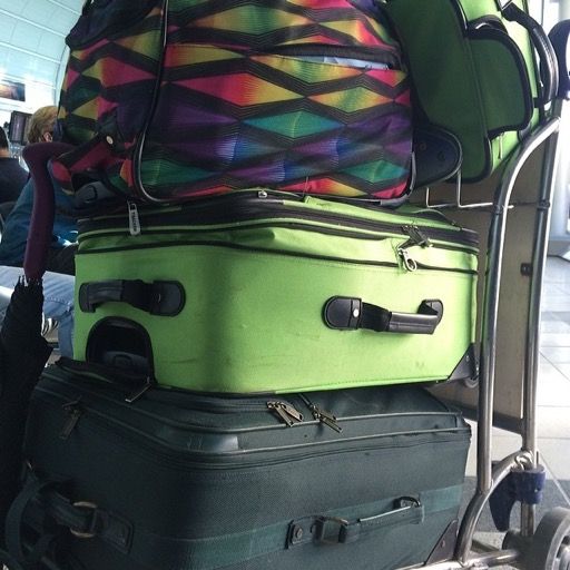 Photo of a luggage cart.