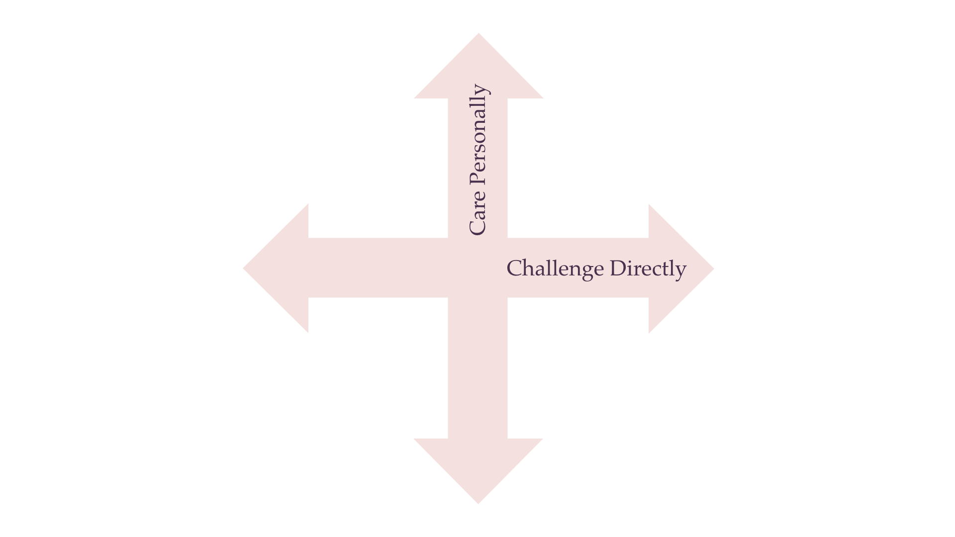 A graph depicting two axes, representing caring for colleagues vs whether or not you're willing to challenge them directly