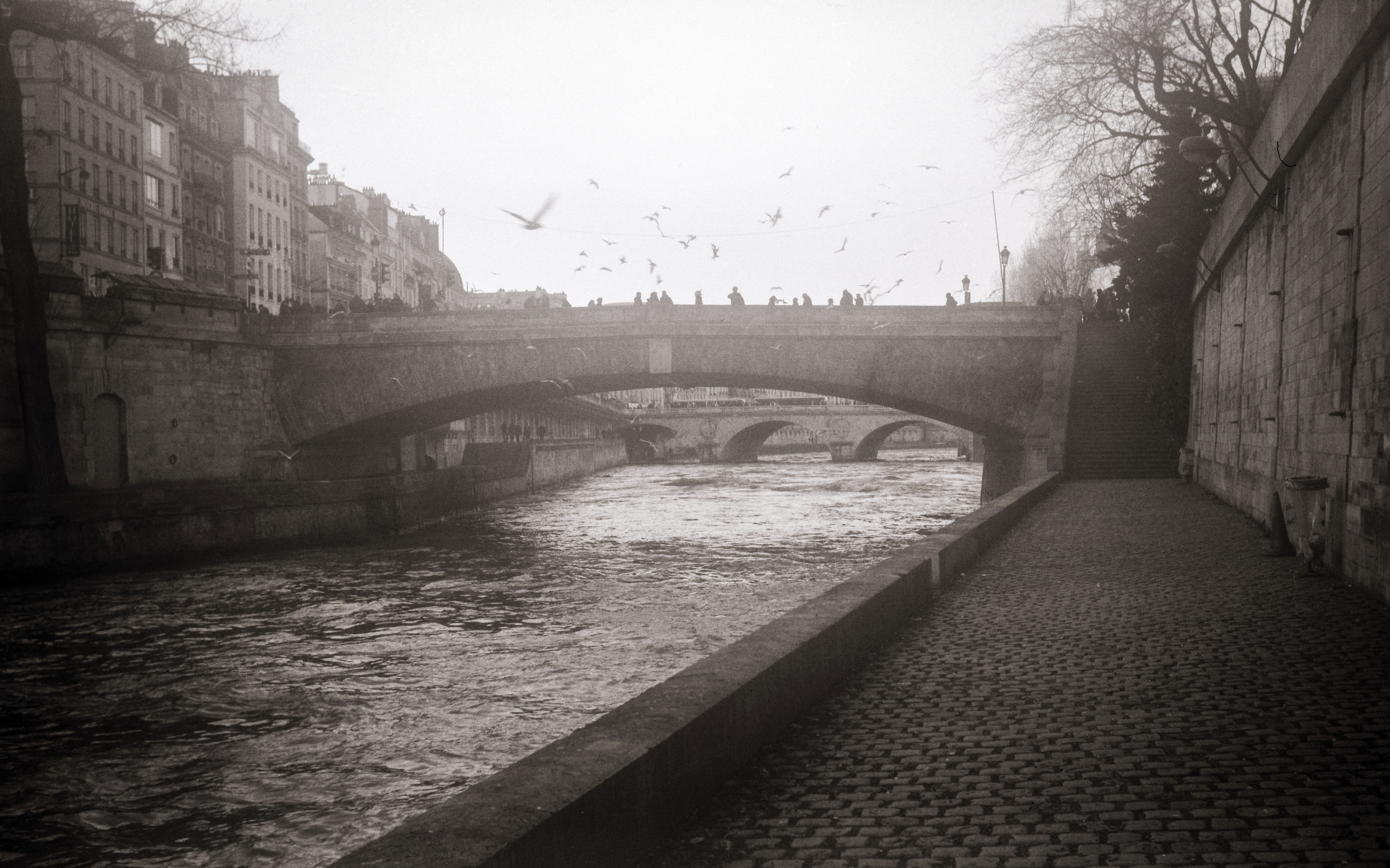 Black and white photo of Paris taken on a fold-out camera
