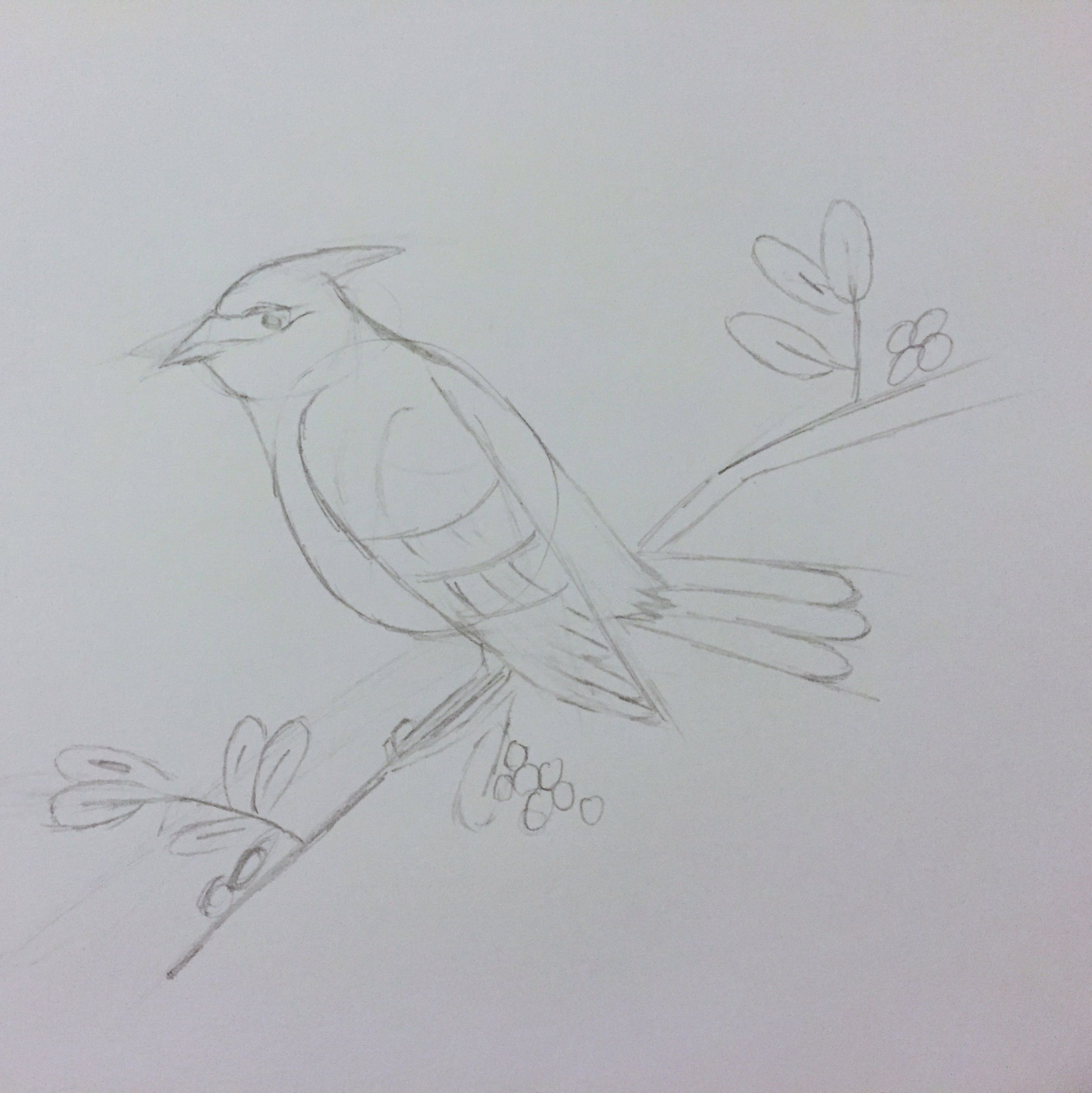 First sketches