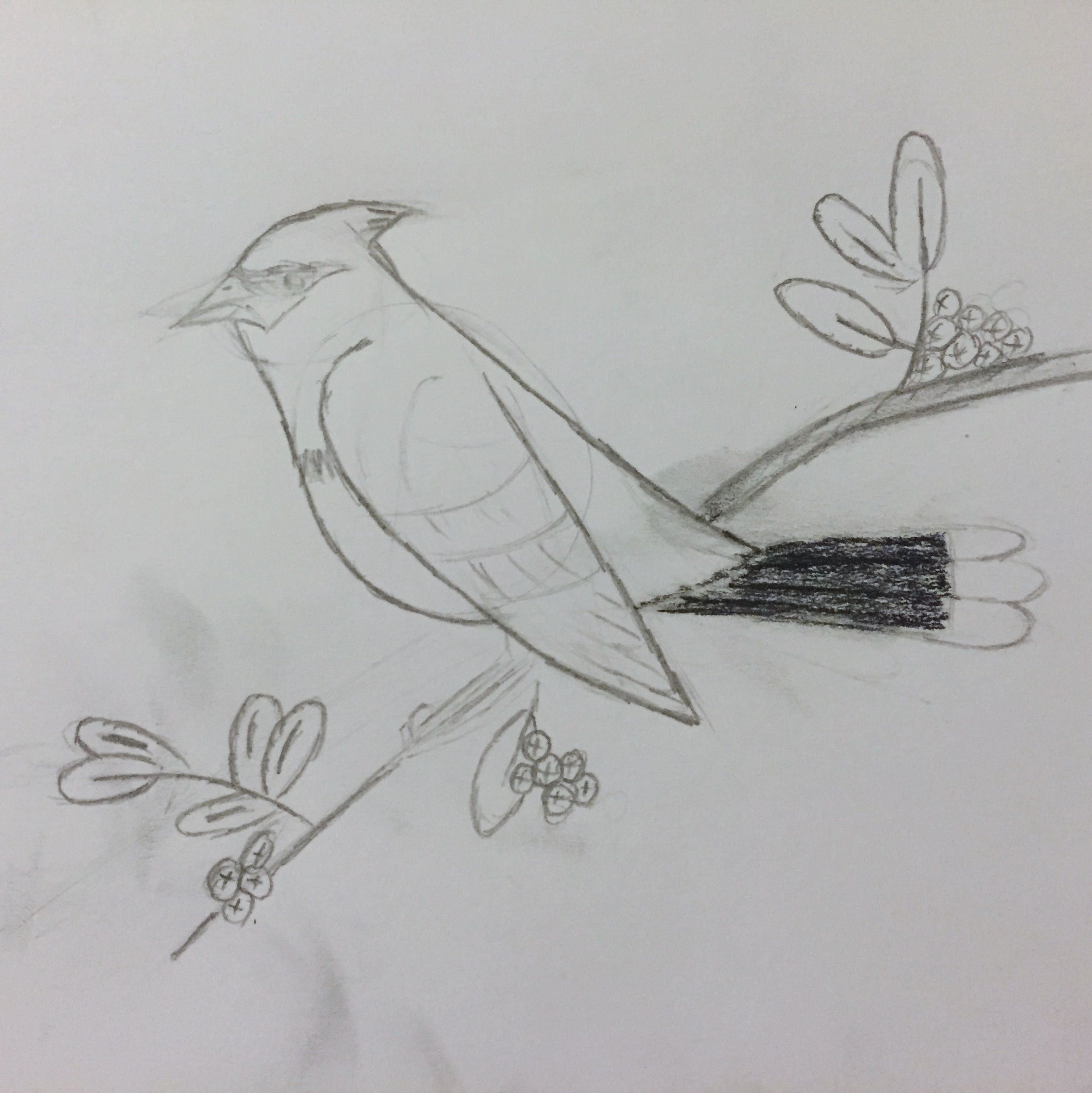 Intermediate sketches