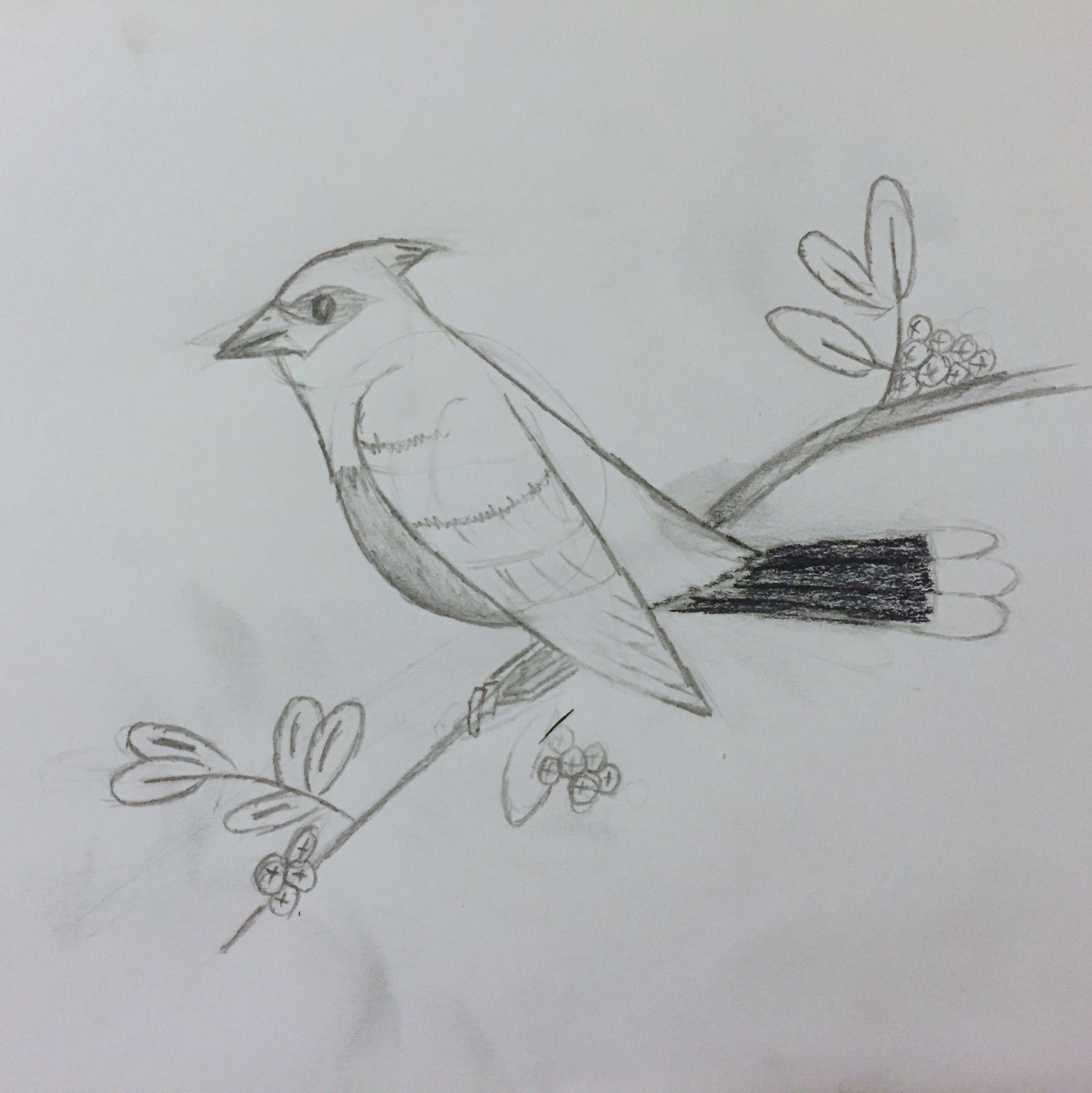 Final sketch
