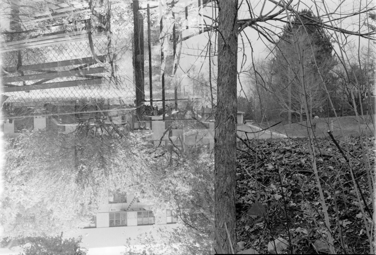 The same photo, but less contrasty and not cropped. I looks faded.