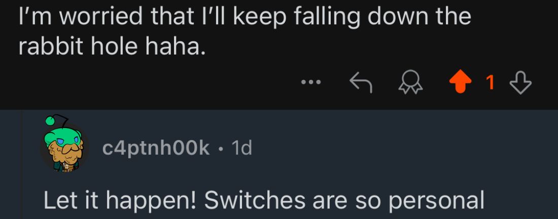 Reddit comment thread. "I'm worried I'll keep falling down the rabbit hole haha." "Let it happen! Switches are so personal"