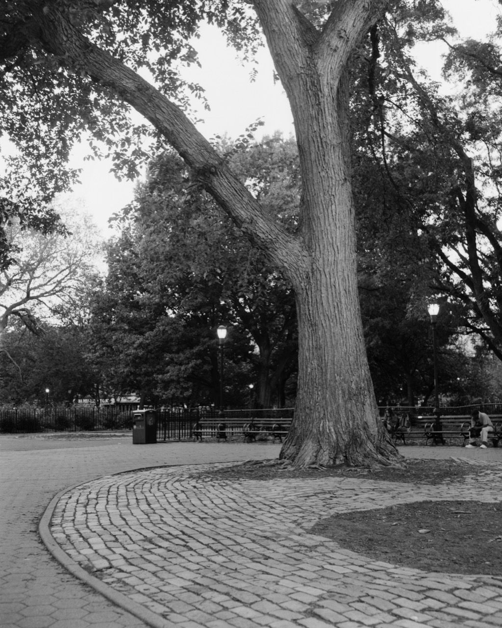 Thompkins Square Park