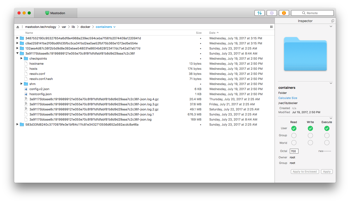 Docker container directory listing