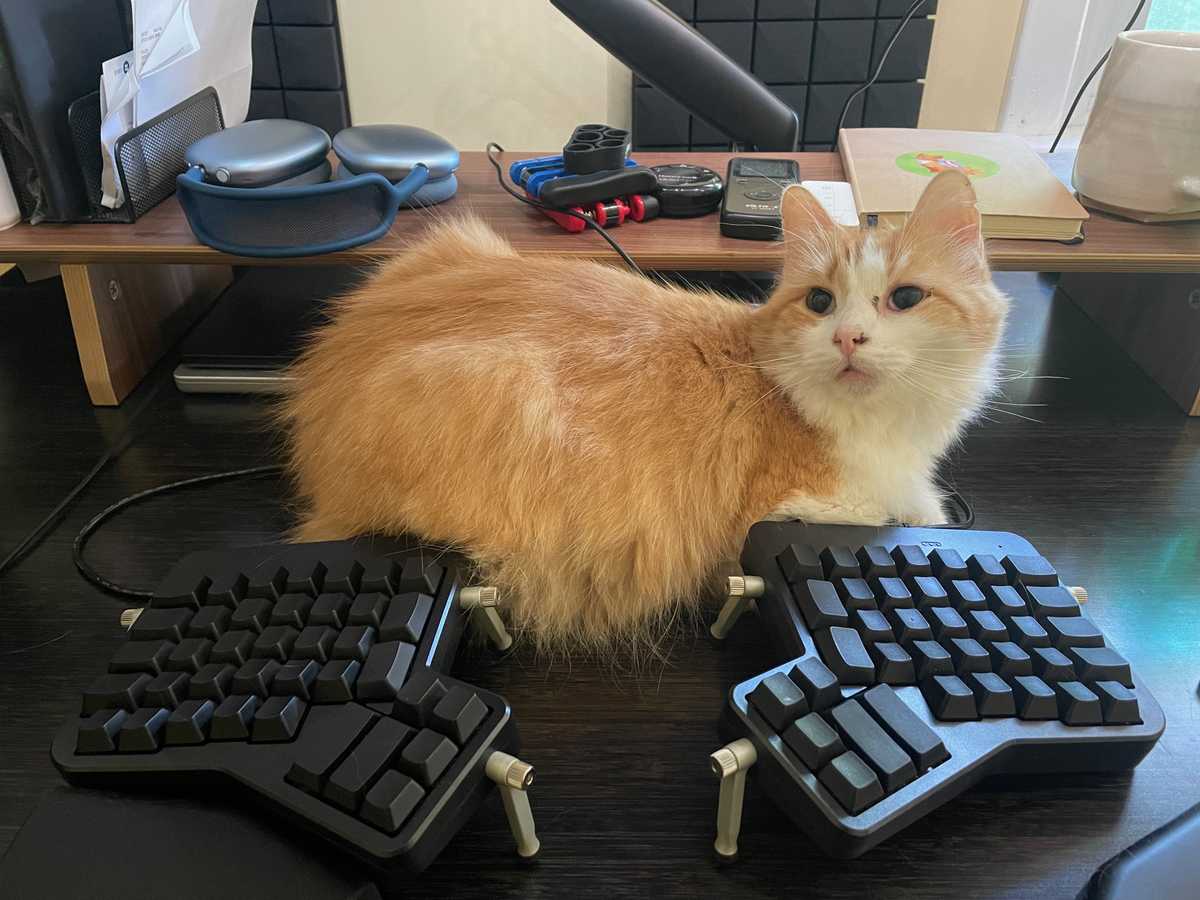 ErgoDox EZ with my cat in between the two halves, as is customary