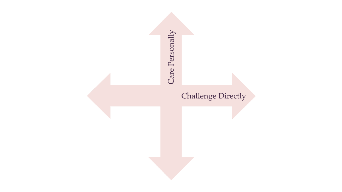 A graph depicting two axes, representing caring for colleagues vs whether or not you're willing to challenge them directly